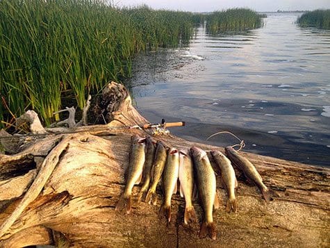 Fishing at Double P Ranch south dakota fishing guides