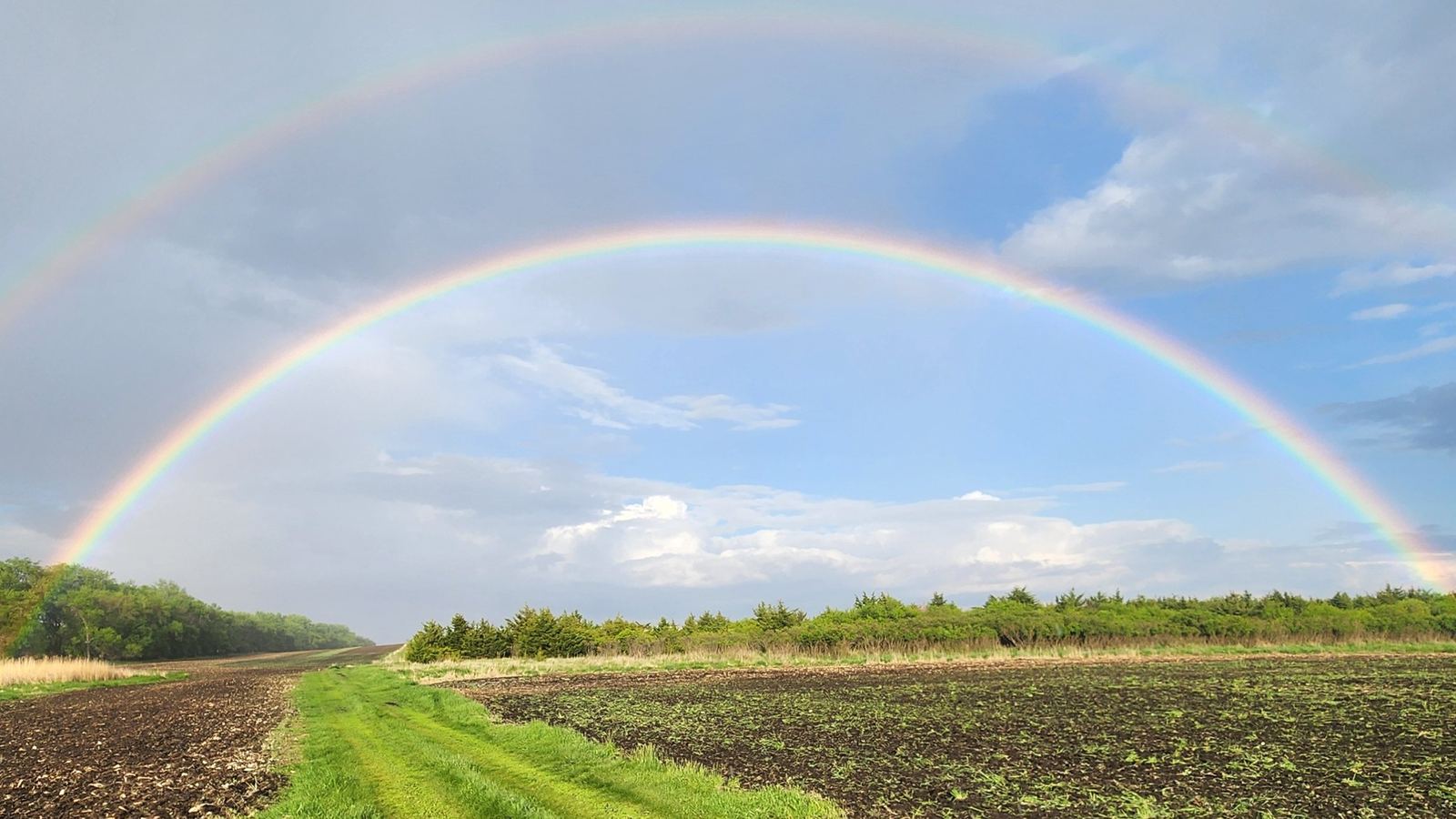 Double rainbow over a field edge on a Double P Ranch bow property at Double P Ranch, South Dakota